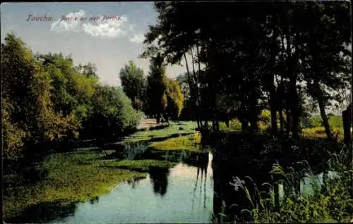 Ak Taucha, Blick auf die Partie an der Parthe im Sommer