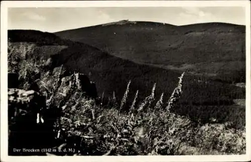 Ak Brocken im Harz, Panorama