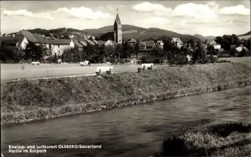 Ak Olsberg im Sauerland, Kurpark