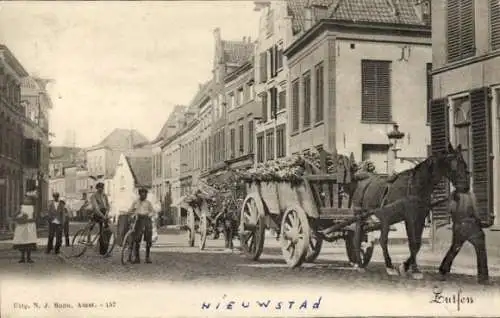 Ak Zutphen Gelderland, Straßenpartie, Pferd mit Heuwagen