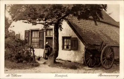 Ak Nunspeet Gelderland, Veluwe, Boerenwoning