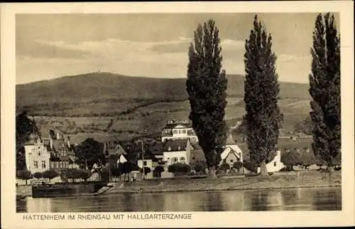 Ak Hattenheim Eltville am Rhein Hessen, Teilansicht, Ufer, Hallgarterzange