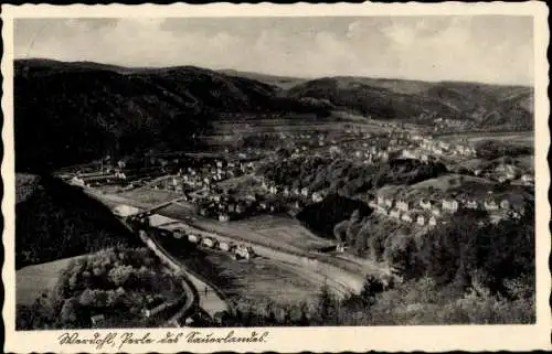 Ak Werdohl im Sauerland, Panorama