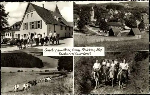 Ak Eisborn Balve im Sauerland, Gesamtansicht, Gasthof zur Post, Pony-Trekking-Hof, Reiter