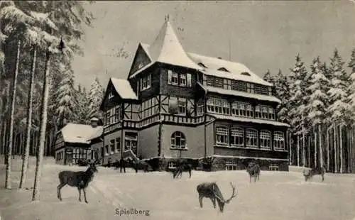 Ak Friedrichroda im Thüringer Wald, Spießberghaus, Spießberg, Winteransicht, Hirsche