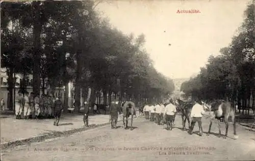 Ak Versailles-Yvelines, Avenue de Sceaux, 27. Dragons, junge Pferde aus der Dressur