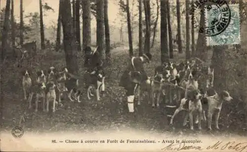 Ak Fontainebleau Seine et Marne, Chasse a courre en Foret, Avant le decoupler