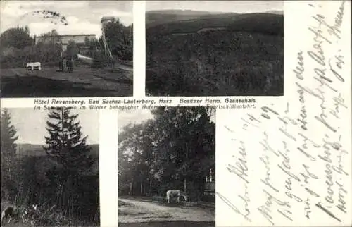 Ak Bad Lauterberg im Harz, Hotel Ravensberg, Wald, Esel, Pferde