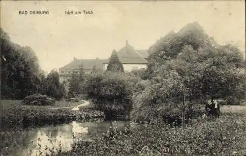 Ak Bad Driburg in Westfalen, Idyll am Teich