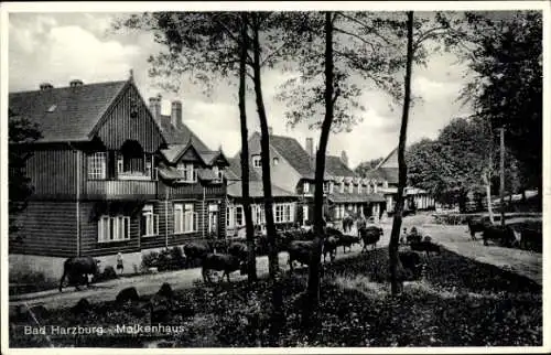 Ak Bad Harzburg am Harz, Molkenhaus