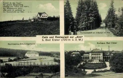 Ak Bad Elster im Vogtland, Restaurant zur Alm, Kaufmanns-Erholungsheim, Waldlandschaft, Kurhaus