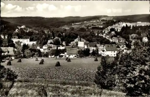 Ak Bad Schwalbach im Taunus, Gesamtansicht