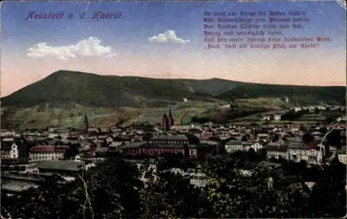 Ak Neustadt an der Weinstraße, Panorama