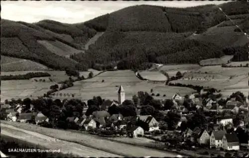 Ak Saalhausen Lennestadt im Sauerland, Totalansicht