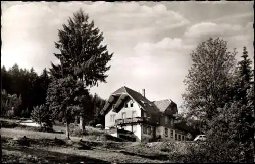 Ak Alpersbach Hinterzarten im Südschwarzwald, Pension zur Esche, J. Fehrenbach