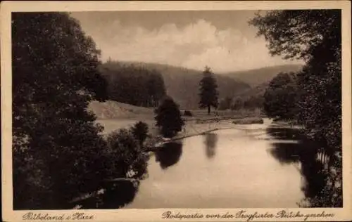 Ak Rübeland Oberharz am Brocken, Bode, Blick von der Trogfurter Brücke