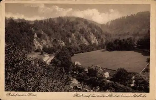 Ak Rübeland Oberharz am Brocken, unteres Bodetal, Nebelholz