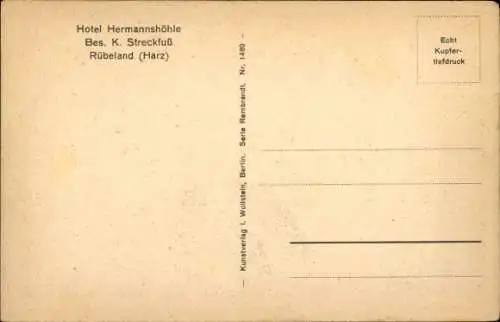Ak Rübeland Oberharz am Brocken, unteres Bodetal, Nebelholz
