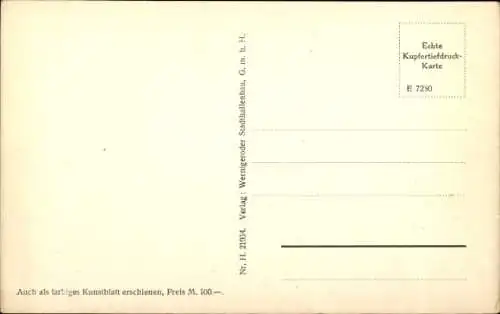 Künstler Ak Wernigerode im Harz, Markt, Rathaus