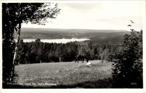 Ak Ställdalen Schweden, Utsikt fran norra Björkberg