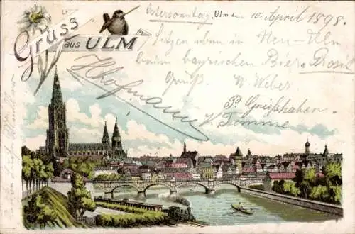 Litho Ulm an der Donau, Gesamtansicht, Münster, Spatz