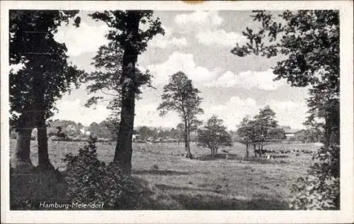 Ak Hamburg Wandsbek Rahlstedt Meiendorf, Landschaftsblick