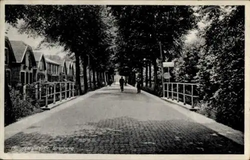 Ak Hellevoetsluis Südholland, Brielsche Straatweg