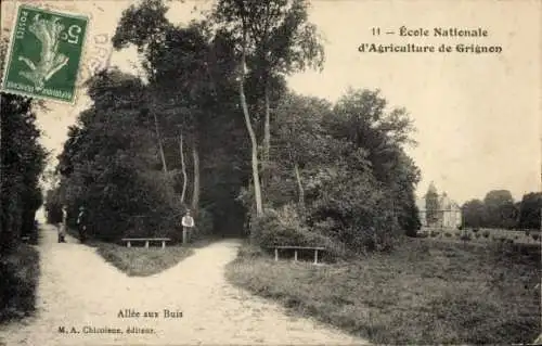 Ak Thiverval Grignon Yvelines, Allée aux Buis, École Nationale d'Agriculture