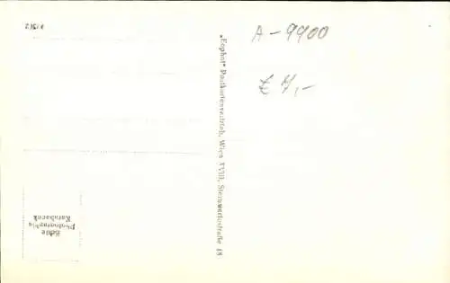 Ak Lienz in Tirol, Panorama mit Spitzkofel