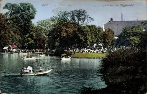 Ak Köln am Rhein, Stadtwald, Ruderboote