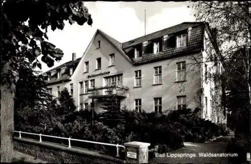 Ak Bad Lippspringe, Waldsanatorium