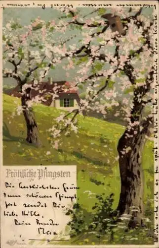 Litho Glückwunsch Pfingsten, Frühlingslandschaft, Blütenbäume