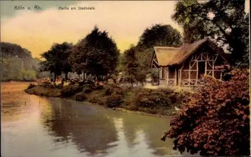 Ak Köln am Rhein, Stadtwald