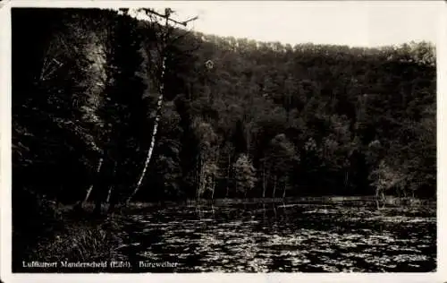 Ak Manderscheid in der Eifel, Burgweiher