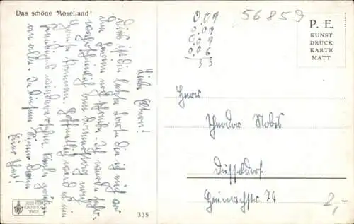 Ak Alf an der Mosel, Bullay, Panorama