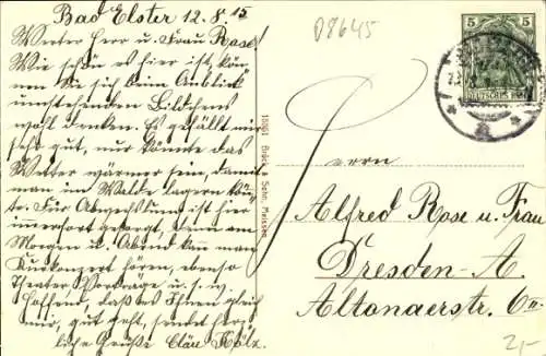Ak Bad Elster im Vogtland, Gesamtansicht, Blick von der Alberthöhe