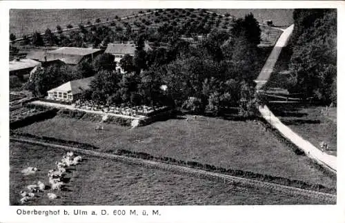 Ak Oberberghof Ulm an der Donau, Fliegeraufnahme