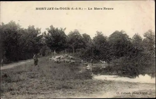 Ak Montjay la Tour Villevaudé Seine et Marne, La Mare Neuve, Troupeau de Moutons