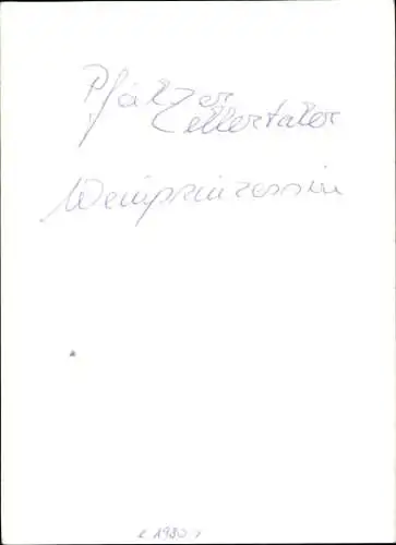 Ak Schauspielerin Neli I., Portrait, Pfälzer Zellertaler Weinprinzessin,  Autogramm