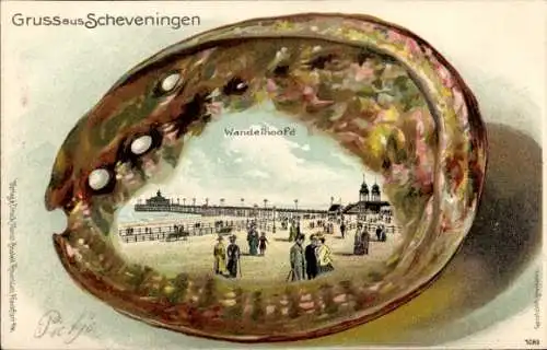 Präge Muschel Litho Scheveningen Den Haag Südholland, Wandelhoofd