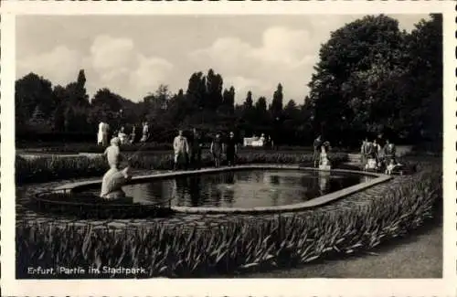 Ak Erfurt in Thüringen, Stadtpark, Springbrunnen