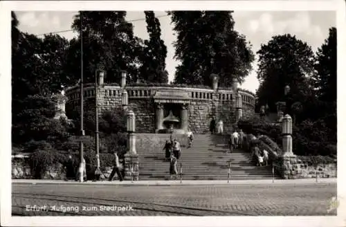 Ak Erfurt in Thüringen, Stadtpark, Aufgang