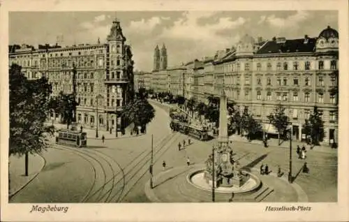 Ak Herrenkrug Magdeburg, Hasselbach Platz, Denkmal, Straßenbahnen, Türme