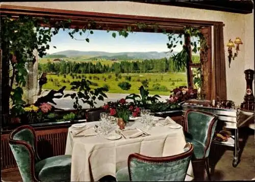 Ak Hinterzarten im Schwarzwald, Parkhotel Adler, Innenraum, Blick aus dem Fenster