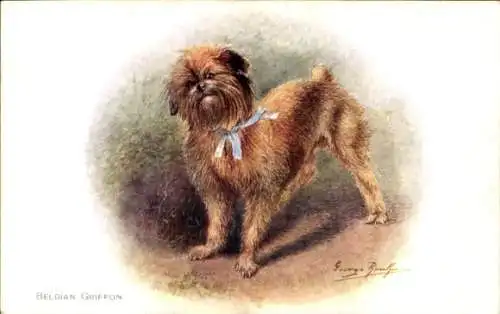 Künstler Ak Hund, Belgian Griffon