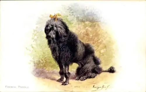 Künstler Ak Pudel, French Poodle