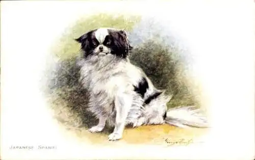 Künstler Ak Hund, Japanese Spaniel