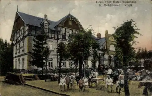 Ak Mehltheuer im Vogtland, Hotel Waldhaus, Kinder im Garten