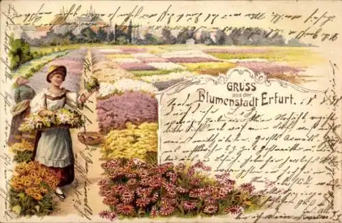 Litho Erfurt in Thüringen, Blumenstadt, Blumenfelder