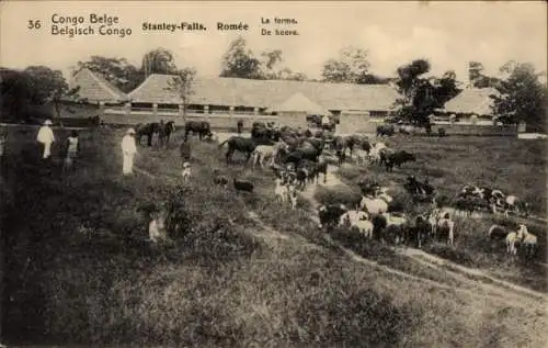 Ganzsachen Ak DR Kongo Zaire, Stanley Falls, Romee, Bauernhof